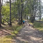 Pod Klimczokiem I