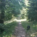 Bed & Breakfast Pod Klimczokiem I Szczyrk