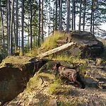 Bed & Breakfast Pod Klimczokiem I 3*