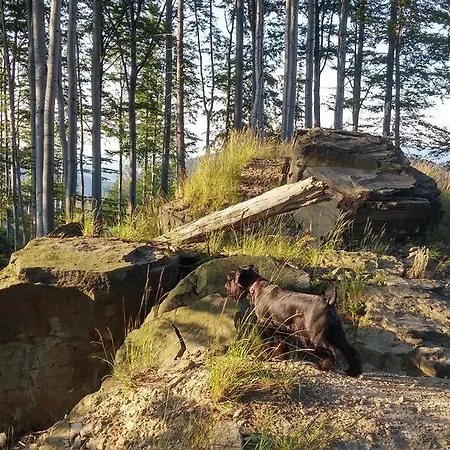 Bed and breakfast Pod Klimczokiem I 3*