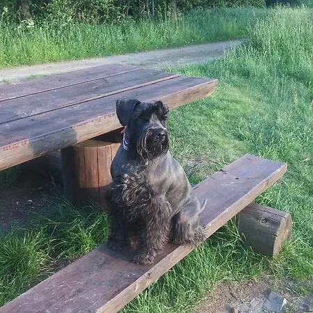 Bed & Breakfast Pod Klimczokiem I