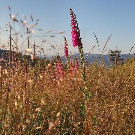 Pod Klimczokiem I Szczyrk