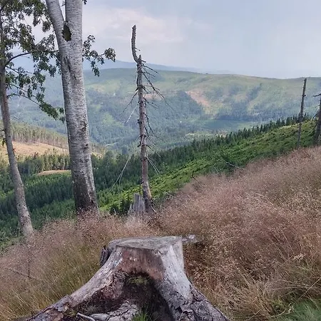 Pod Klimczokiem I Bed & Breakfast 3*