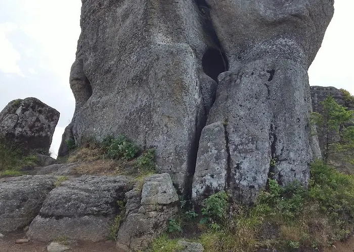 Bed & Breakfast Pod Klimczokiem I 3*