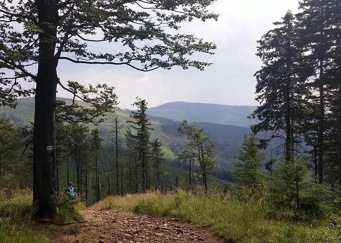 Bed & Breakfast Pod Klimczokiem I