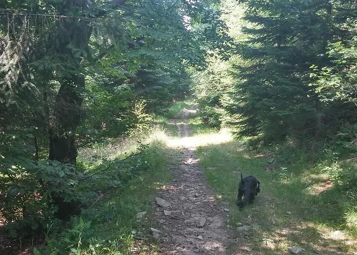 Bed & Breakfast Pod Klimczokiem I Szczyrk