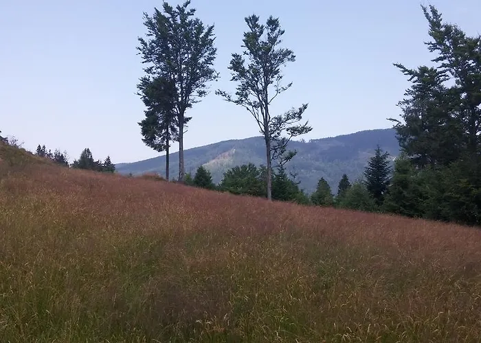 Bed & Breakfast Pod Klimczokiem I