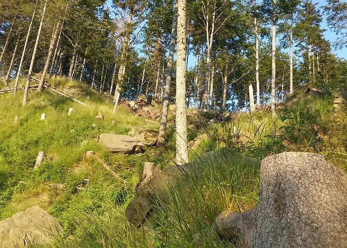 Bed & Breakfast Pod Klimczokiem I 3*