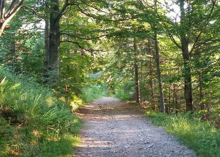 Bed & Breakfast Pod Klimczokiem I