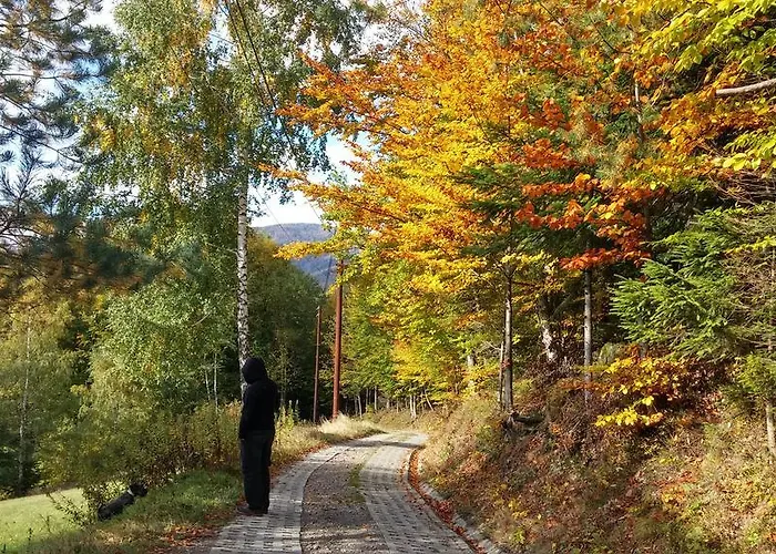 Bed & Breakfast Pod Klimczokiem I