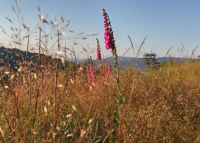 Pod Klimczokiem I Szczyrk