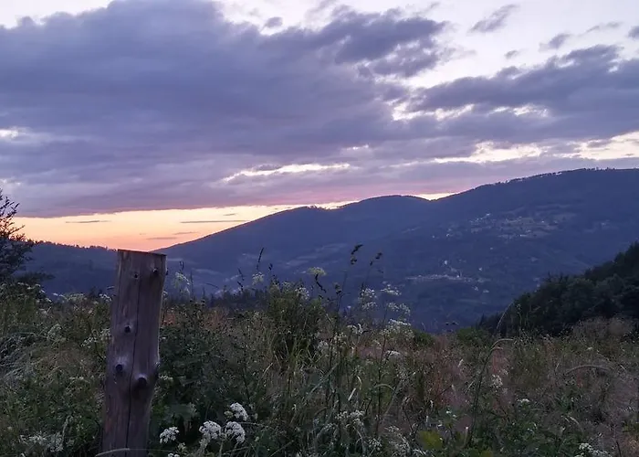 Bed & Breakfast Pod Klimczokiem I 3*