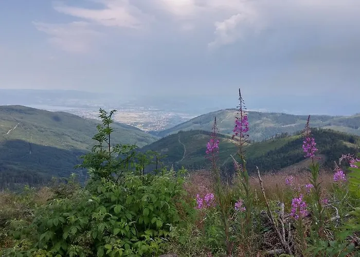 Pod Klimczokiem I Bed & Breakfast 3*