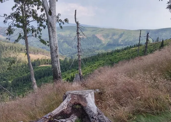 Pod Klimczokiem I Bed & Breakfast 3*