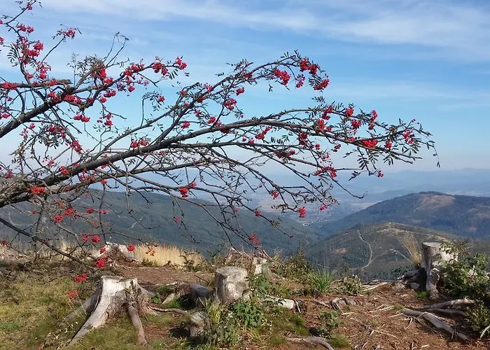 Pod Klimczokiem I Bed & Breakfast