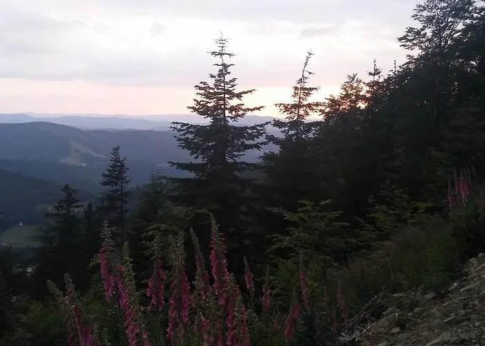 Bed & Breakfast Pod Klimczokiem I Szczyrk